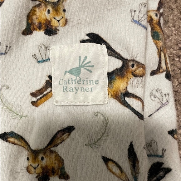 Catherine Rayner - Picture 3 of 5